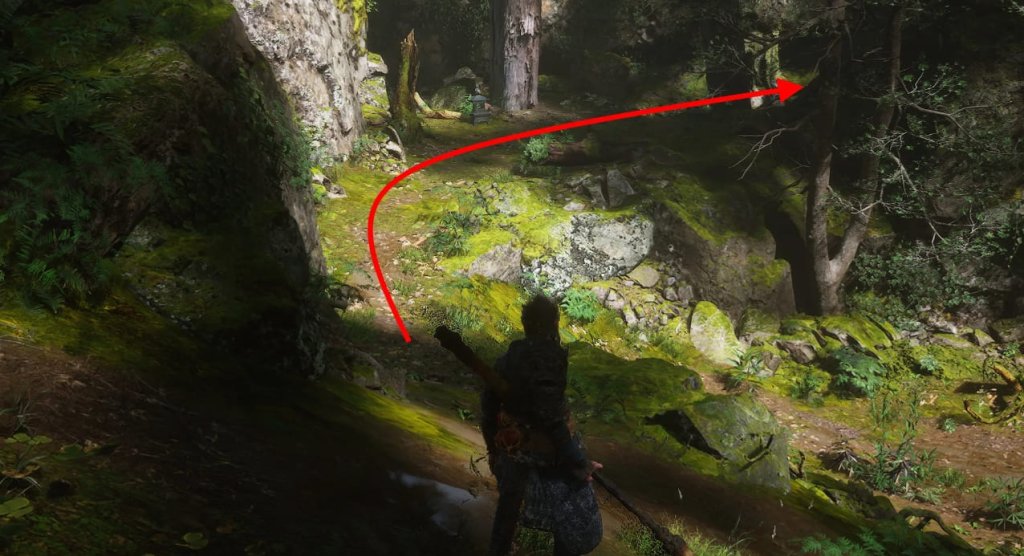 Black Myth: Wukong чешуйки лун