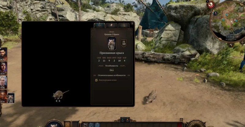 Baldur`s Gate 3 фамильяры