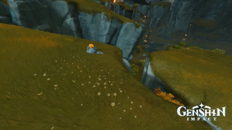 Genshin Impact где найти кор ляпис 31