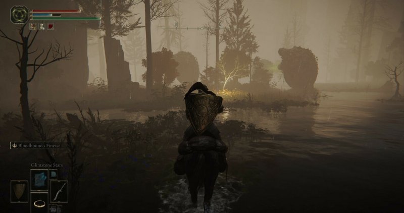 Где найти золотое семя в Elden Ring 22