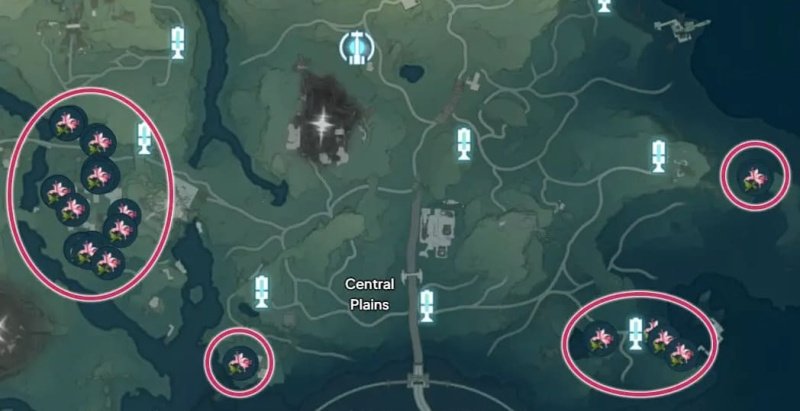 Wuthering Waves цветок пекока