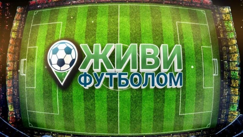 Лучшие футбольные менеджеры 9
