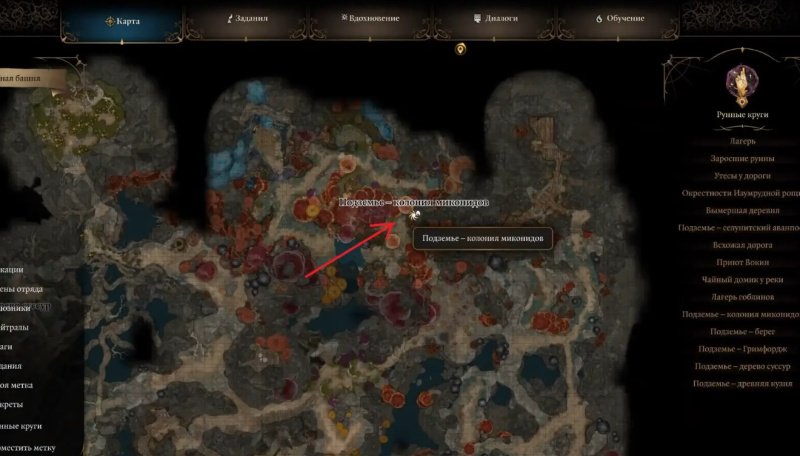 Baldur`s Gate 3 Омелум