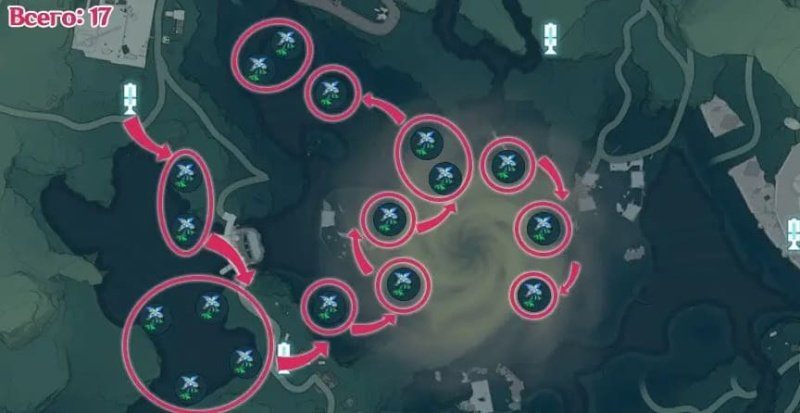 Wuthering Waves Iris