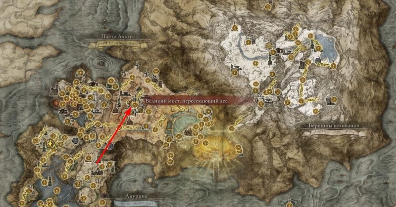 Где найти торговца в Elden Ring 21