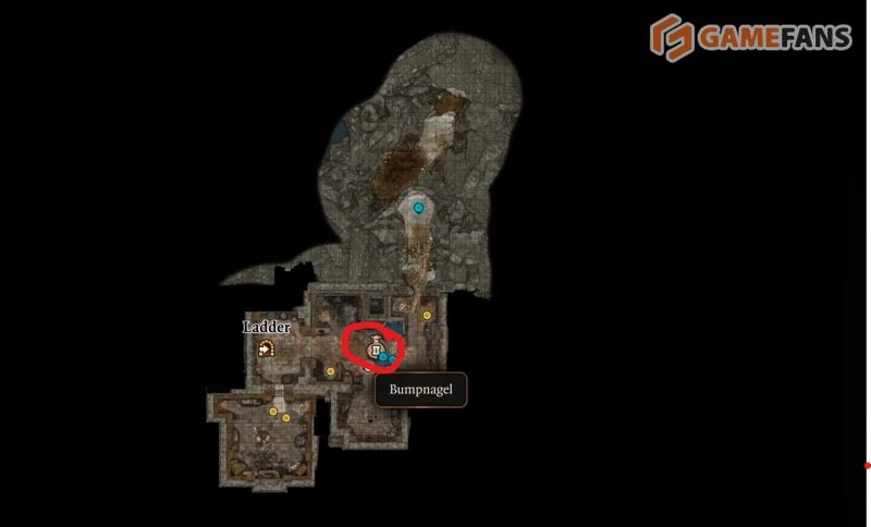 Baldur`s Gate 3 все торговцы