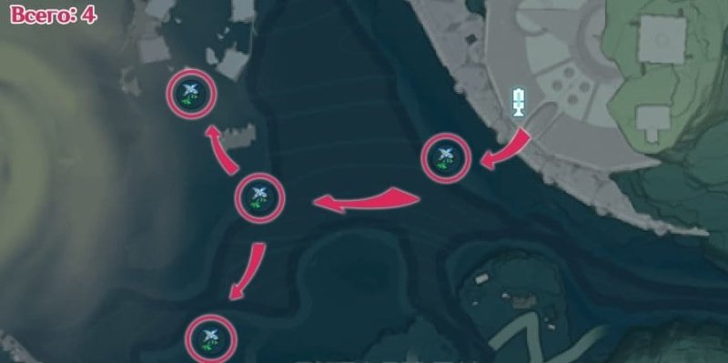 Wuthering Waves Iris