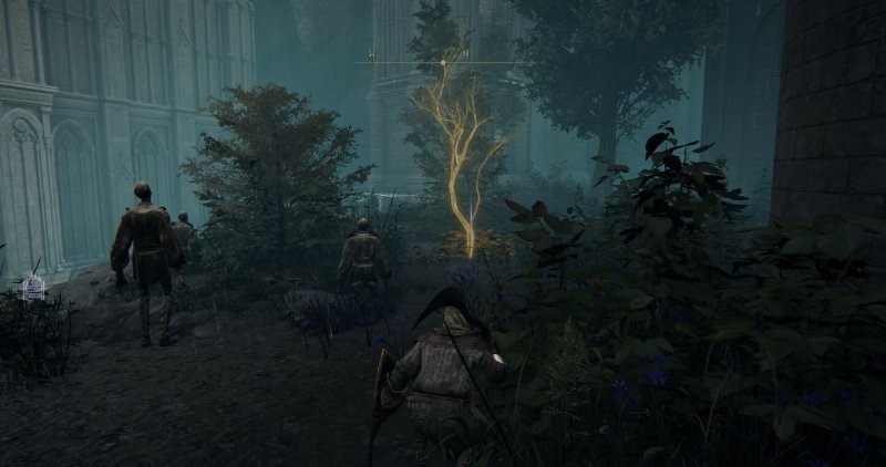 Где найти золотое семя в Elden Ring 18