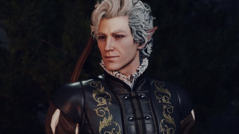 Baldur`s Gate 3 все спутники