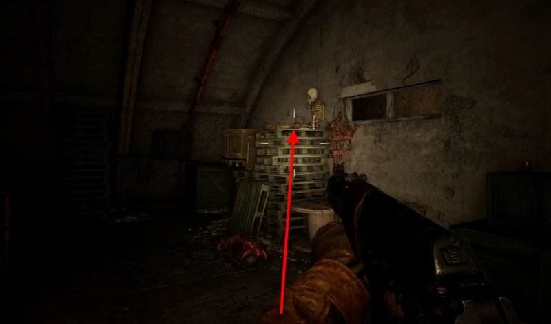 STALKER 2 росток сейф