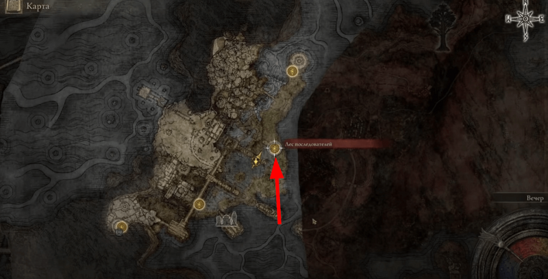 Где найти Слезы личинок в Elden Ring 7