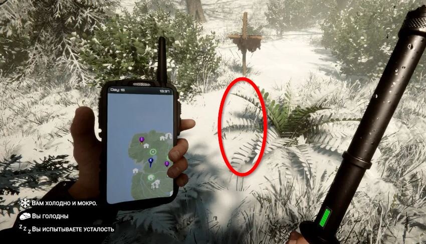 Sons Of The Forest оружие