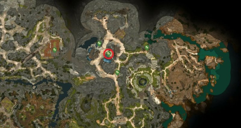 Baldur`s Gate 3 все торговцы