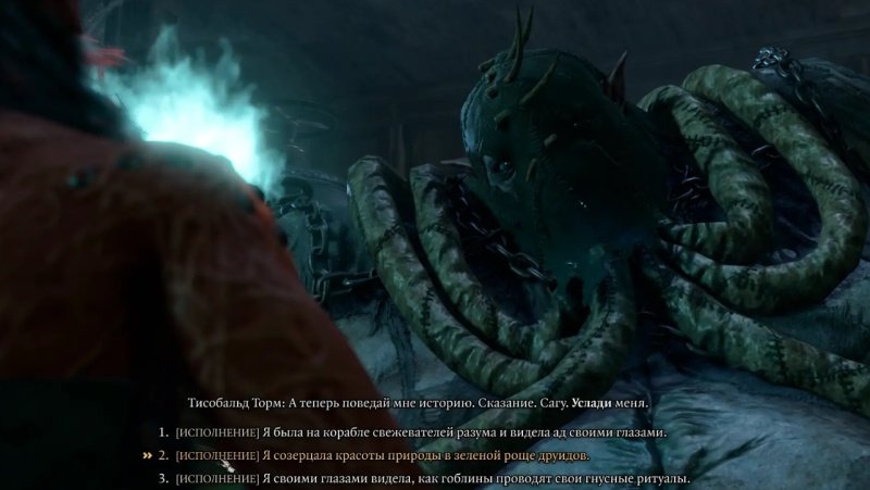 Baldur`s Gate 3 Тисобальд Торм