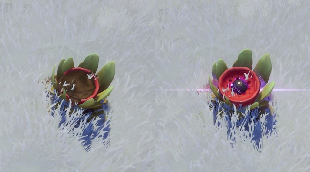 Tower of Fantasy чем заняться в открытом мире