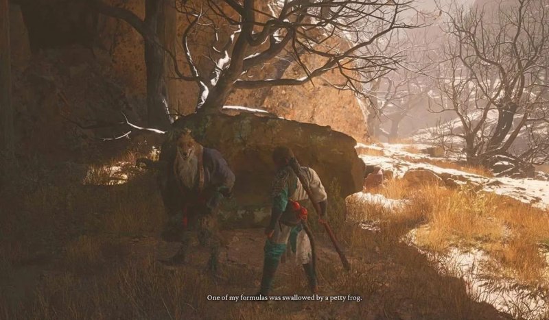 Black Myth: Wukong лекарства