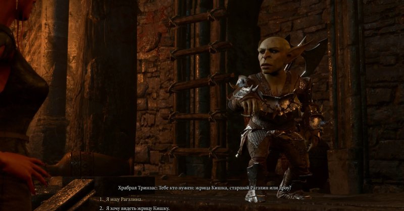 Baldur`s Gate 3 Верная Кишка