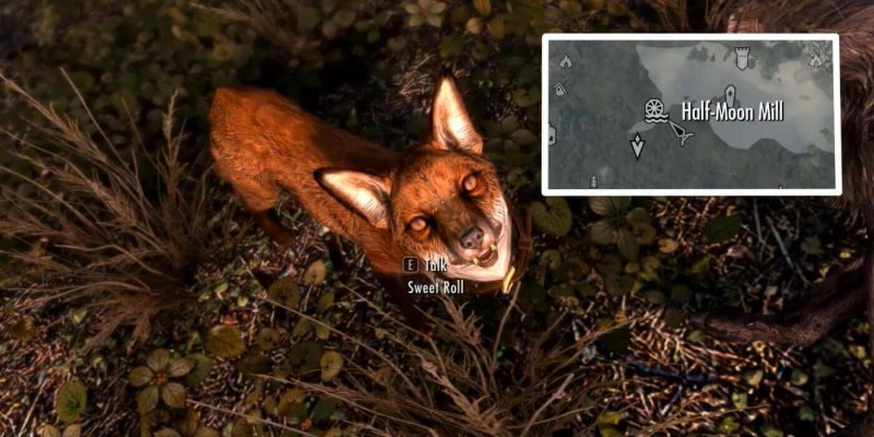 Питомцы Скайрима лиса