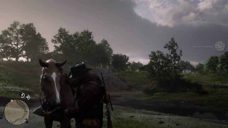 Как кормить и воскрешать лошадь в Red Dead Redemption 2