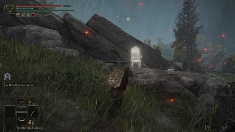 Где найти Слезы личинок в Elden Ring 11