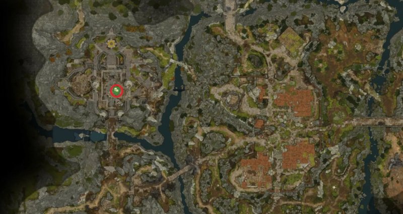 Baldur`s Gate 3 все торговцы