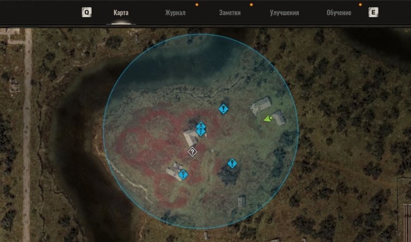 STALKER 2 маковое поле