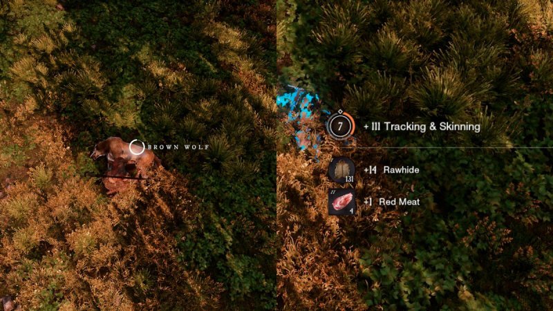 Профессии в New World выслеживание