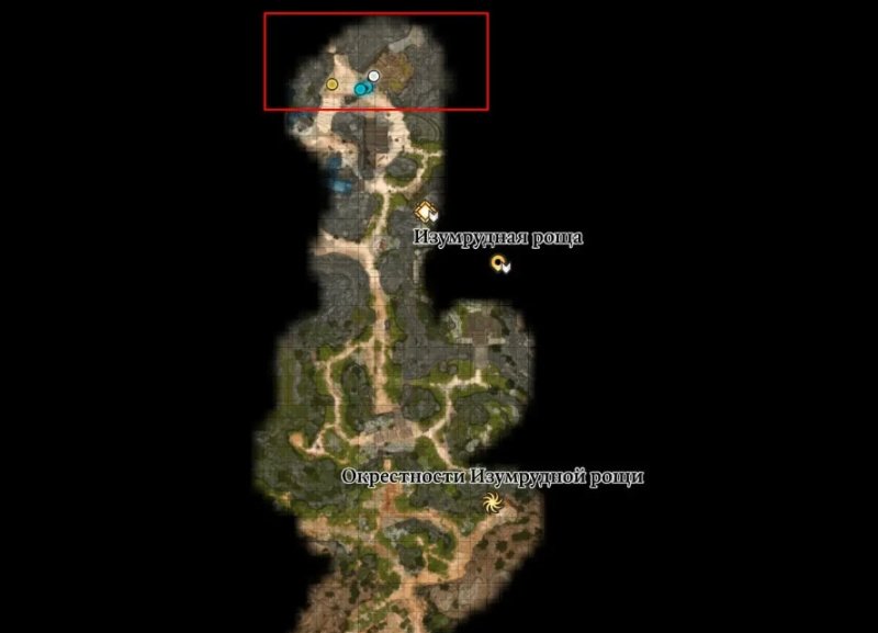 Baldur`s Gate 3 Пандрина