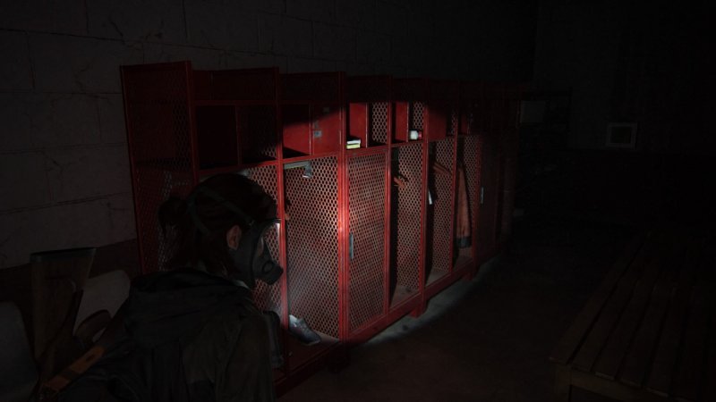 The Last of Us 2 6 сейф