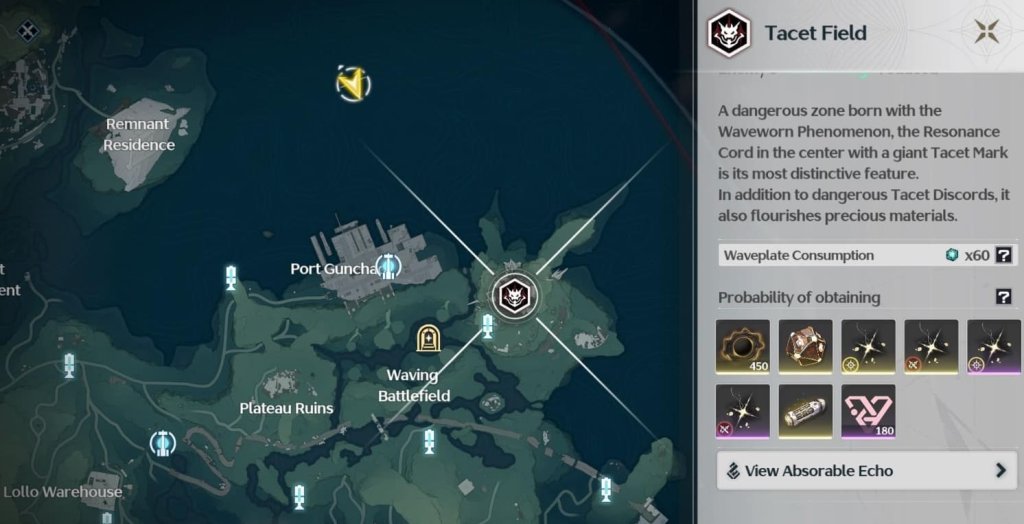 Wuthering Waves Tacet Field