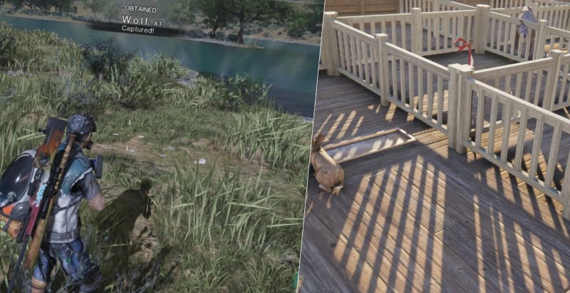 Once Human приручение животных