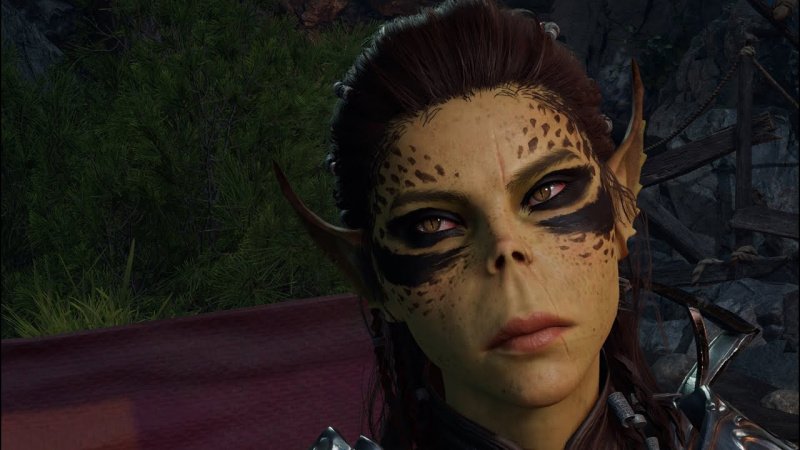 Романы в Baldur`s Gate 3