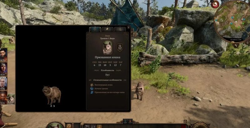 Baldur`s Gate 3 фамильяры