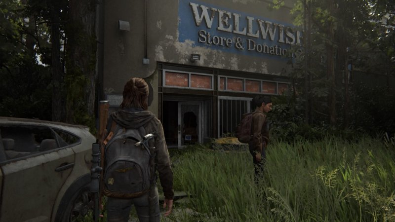 The Last of Us 2 5 сейф