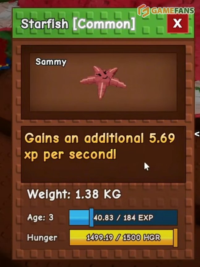 Вырасти сад морская звезда