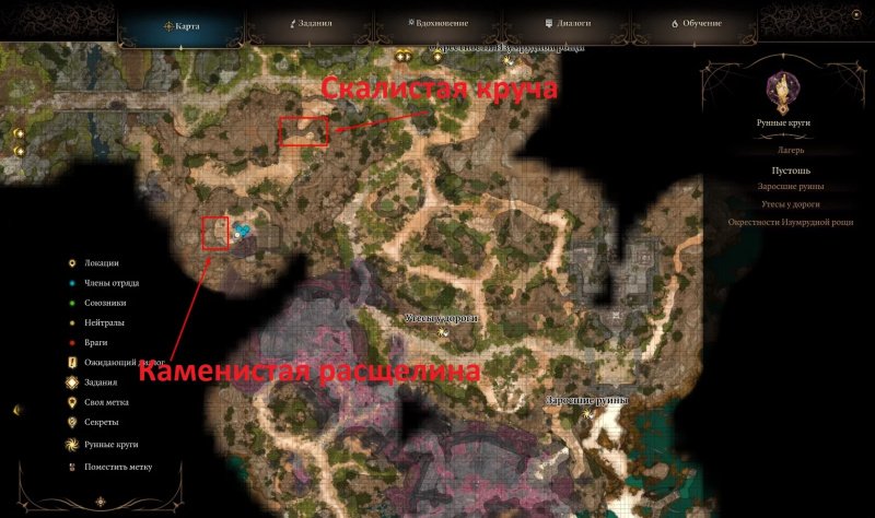 Baldur`s Gate 3 кокон с паучьими яйцами