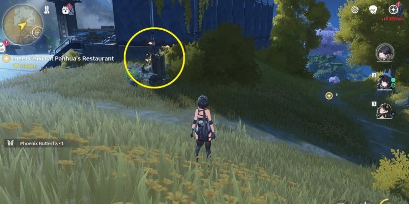 Wuthering Waves загадки