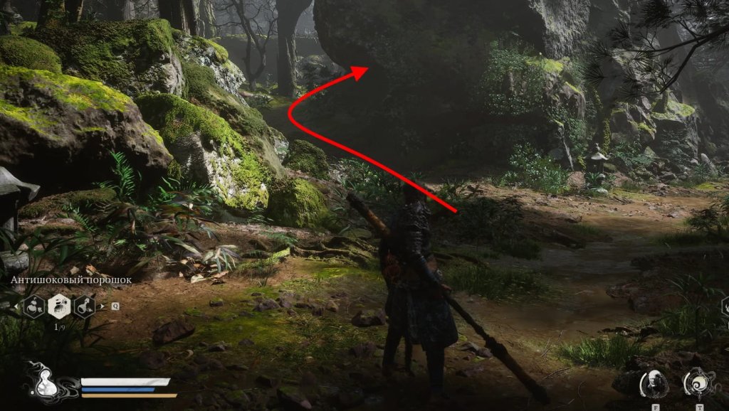 Black Myth: Wukong чешуйки лун