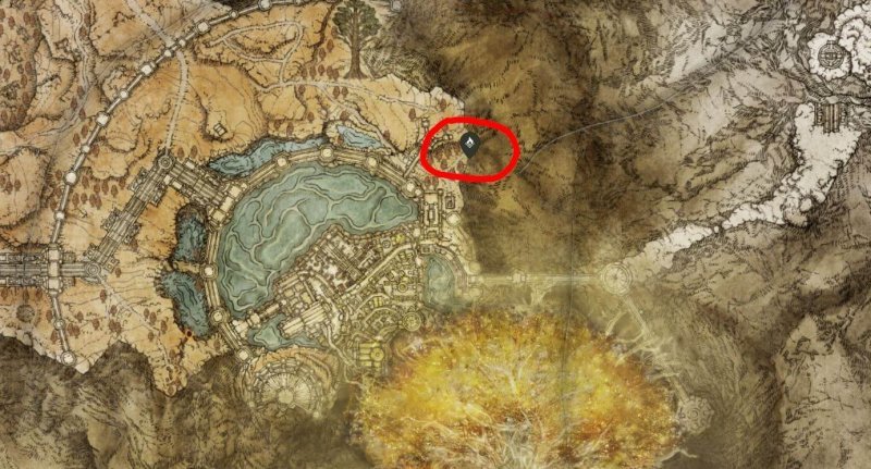 Где найти Призрачные ландыши в Elden Ring 33