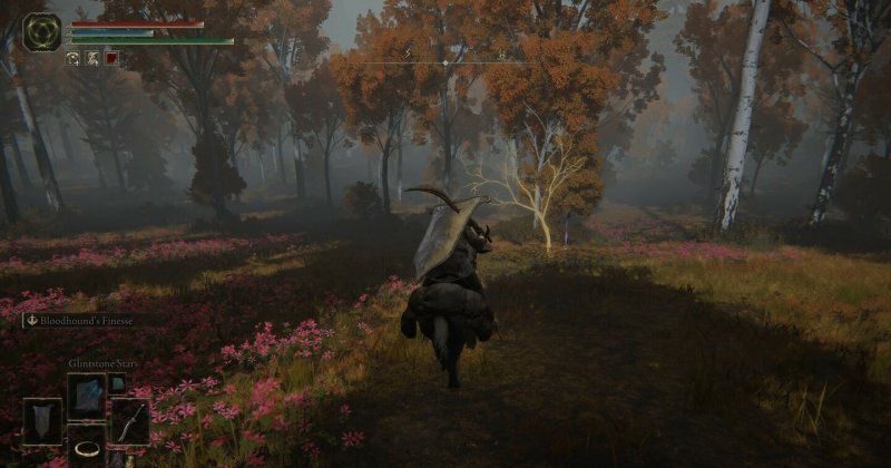 Где найти золотое семя в Elden Ring 34