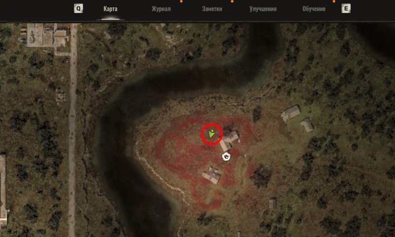 STALKER 2 маковое поле