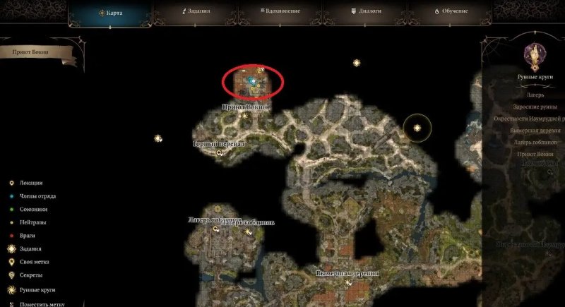 Baldur`s Gate 3 советница Флоррик