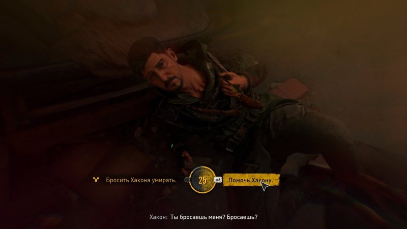 Полное прохождение Dying Light 2 14