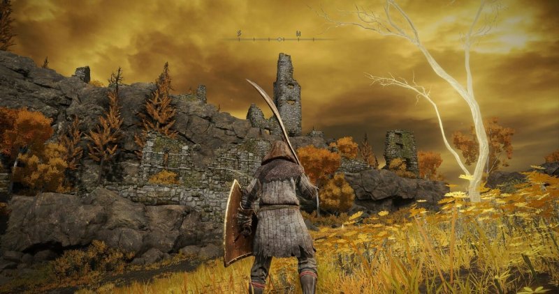 Где найти золотое семя в Elden Ring 24