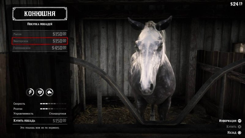 Как купить лошадь в Red Dead Redemption 2