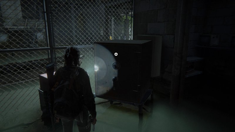 The Last of Us 2 10 сейф