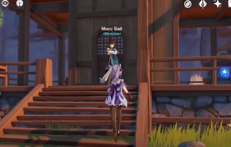 Genshin Impact где найти шелковицу 7