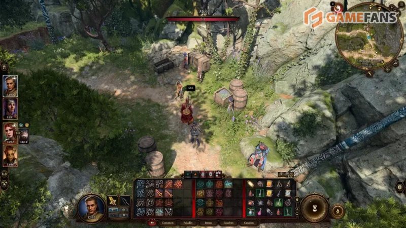 Baldur`s Gate 3 все торговцы