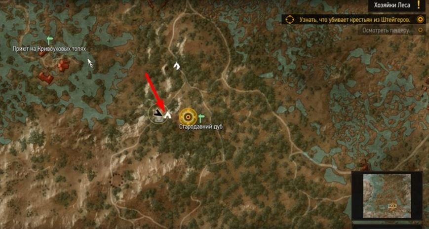 The Witcher 3: Wild Hunt как спасти кровавого барона, его жену и детей