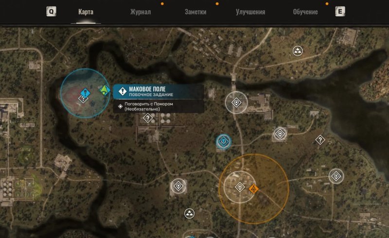 STALKER 2 маковое поле